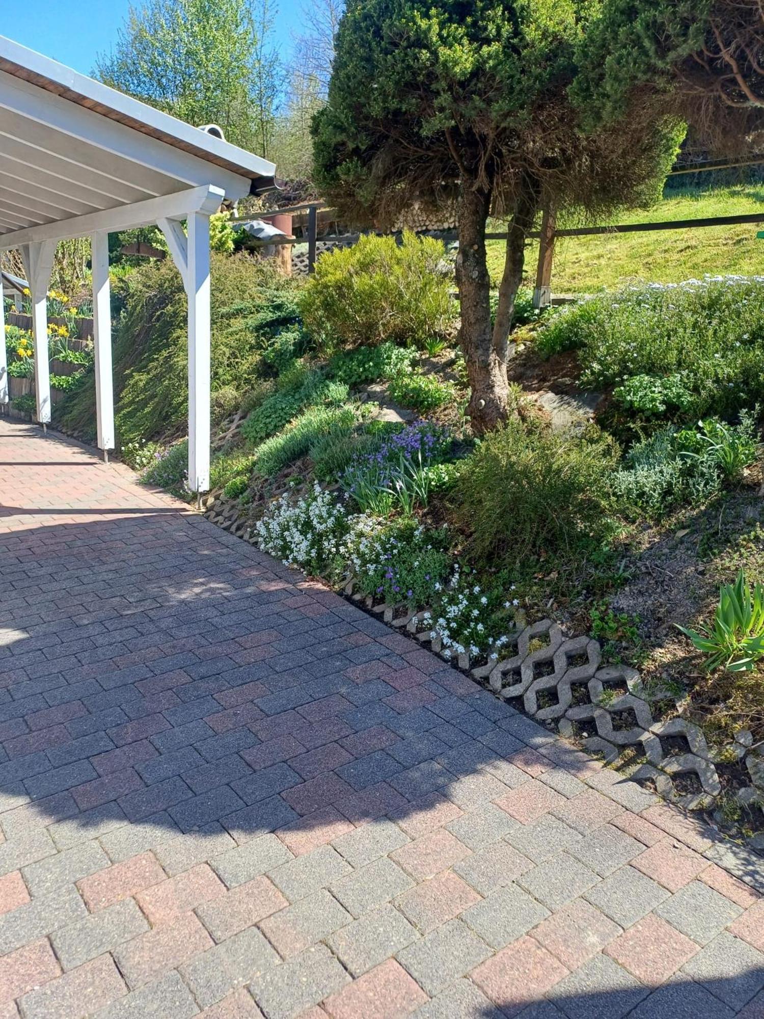 レンネシュタット Haus Waldesruhヴィラ エクステリア 写真